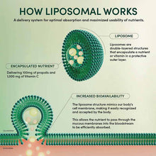 Propolis Stress Support Liposomal, 30 Packets, by Beekeeper's Naturals, image #5