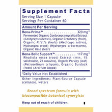 RenaVen Kidney Support, 60 Veg Capsules, by Premier Research Labs
