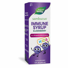 Sambucus Elderberry for Kids Original Syrup, 8 Oz, by Natures Way
