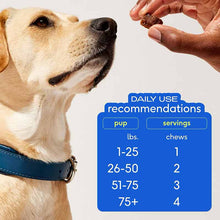 Skin + Coat Chews, Skin & Coat Supplement For Dogs, 60 Chews, by Native Pet, image #5