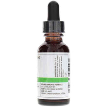 Teasel Fresh Herb Extract, by Four Elements, image #2