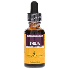 Thuja Extract Topical, by Herb Pharm