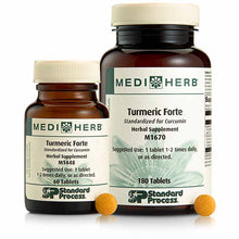 Turmeric Forte, by Standard Process