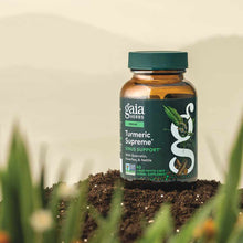 Turmeric Supreme Sinus Support, by Gaia Herbs