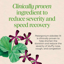 Umcka Allergy + Sinus, by Natures Way