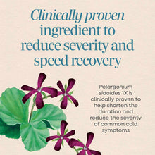 Purple flowers with green leaves on beige background with text about cold care ingredient Pelargonium sidoides.