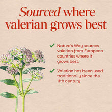 Valerian plant with pink and white clustered flowers and green stems on beige background with text about sourcing.