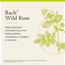 Wild Rose Flower Essence, by Bach Flower Remedies, image #3
