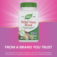 Nature's Way Wild Yam Root supplement bottle with green cap containing 100 vegan capsules at 700mg per serving.