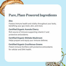 Zinc Complex, by Pure Synergy, image #4