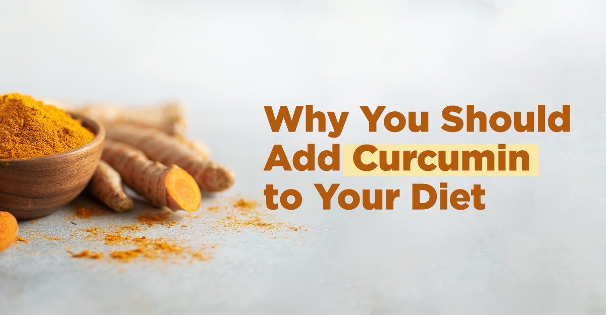 why you should consider adding curcumin to your diet