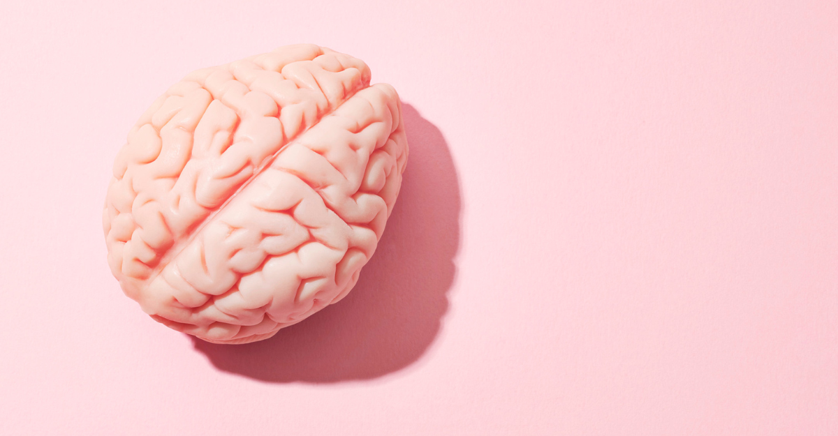Top 3 Brain Health Supplements