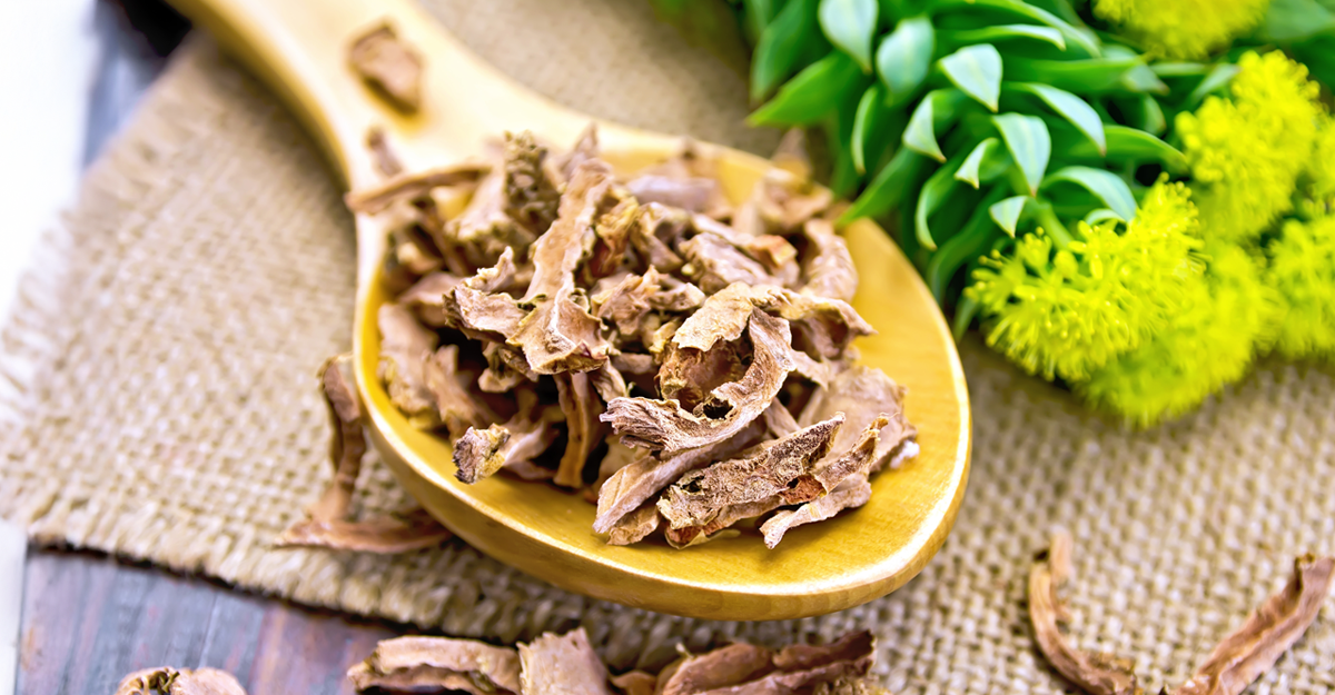 Rhodiola Weight Loss Tips