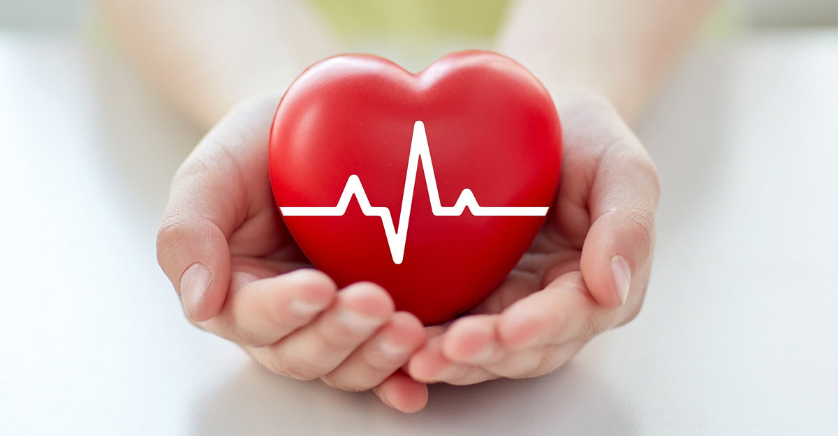 Hands gently holding a red heart with a white heartbeat line, symbolizing care and health. T