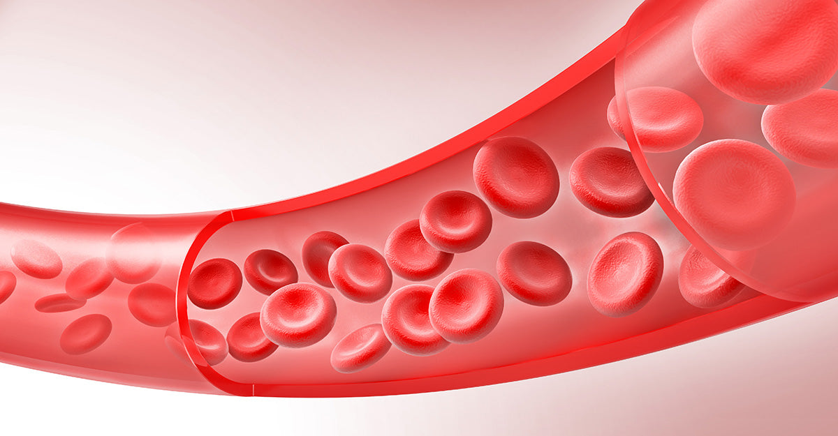 5 Ways to Promote Healthy Glucose Metabolism 