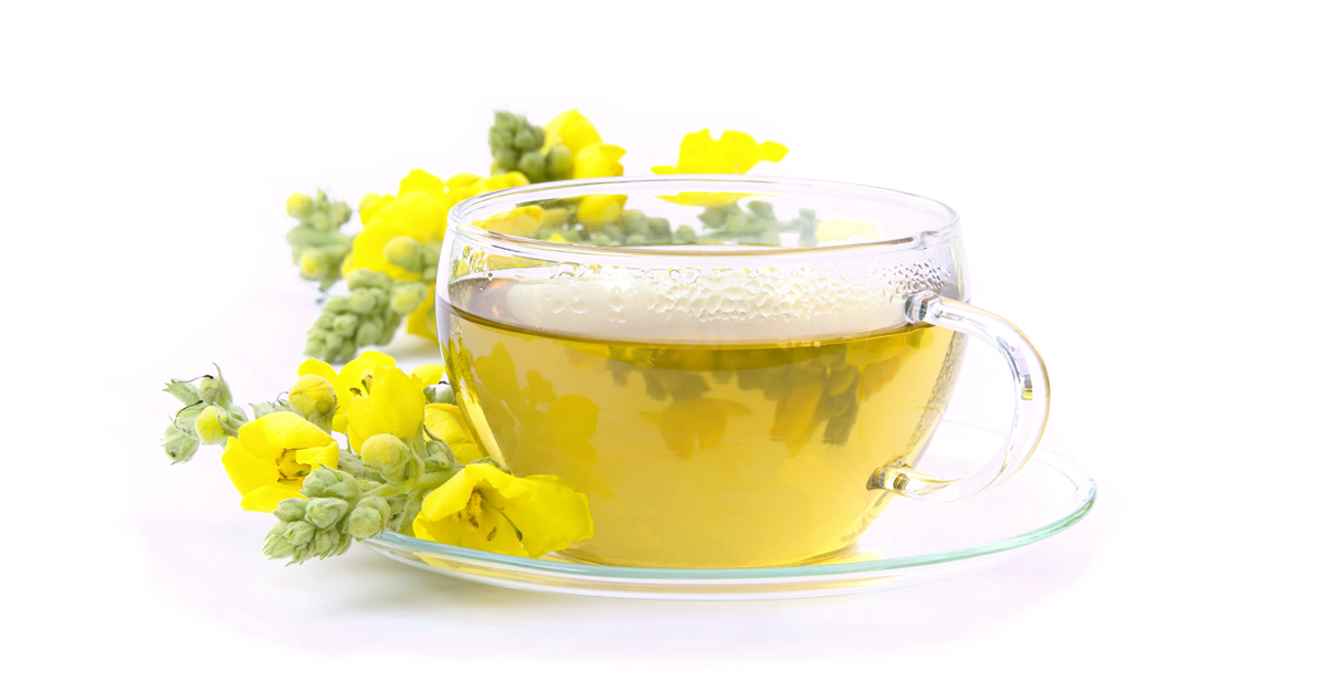 Lung Detox Support: Mullein Leaf Tea and Other Remedies