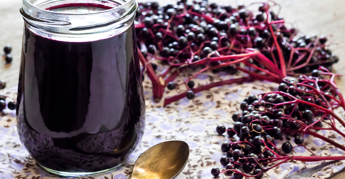 Immune Support Supplements and Healthy Habits for Year-Round Wellness