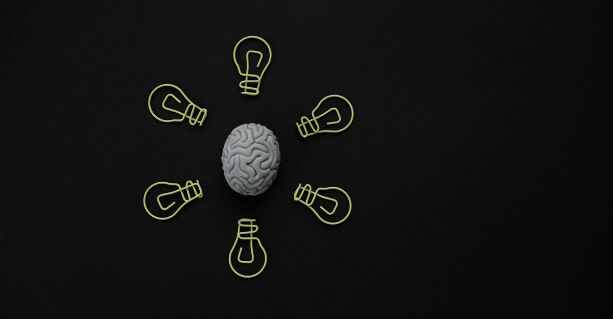 Brain Function