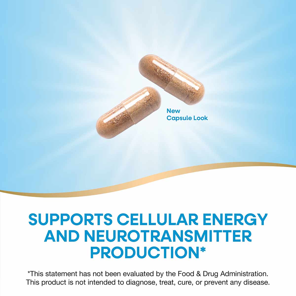 Two tan capsules against a blue background with text indicating new capsule look and product benefits.