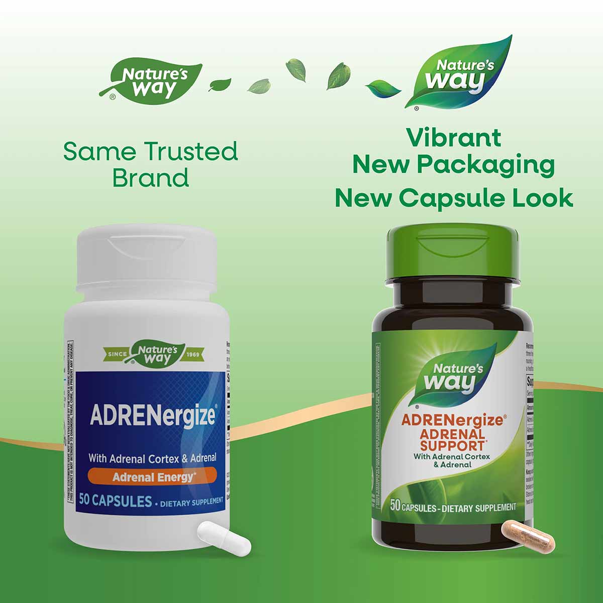 Nature's Way ADRENergize dietary supplement in white and green bottles showing 50 capsules with adrenal cortex and adrenal in