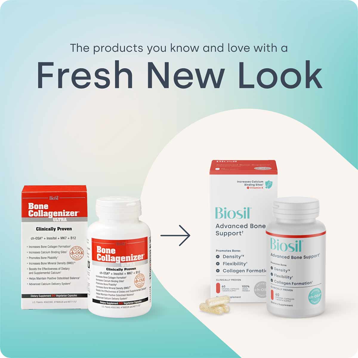 Collagenizer Machine Bone Collagenizer Ultra, BioSil – Professional Supplement Center
