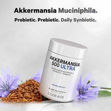 Akkermansia 500 Ultra, 90 Veg Capsules, by Codeage, image #3