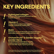 Infographic listing key ingredients: hydrolyzed collagen, vitamin C, biotin, and Orchard Fruits & Garden Veggies powder blend