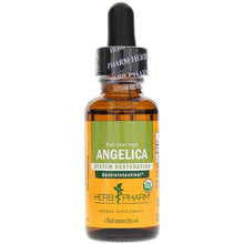 Angelica Extract, 1 Oz, by Herb Pharm