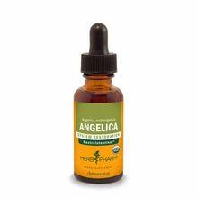 Dark amber glass dropper bottle with green and orange label reading "Angelica System Restoration" by Herb Pharm, 1 fluid ounc