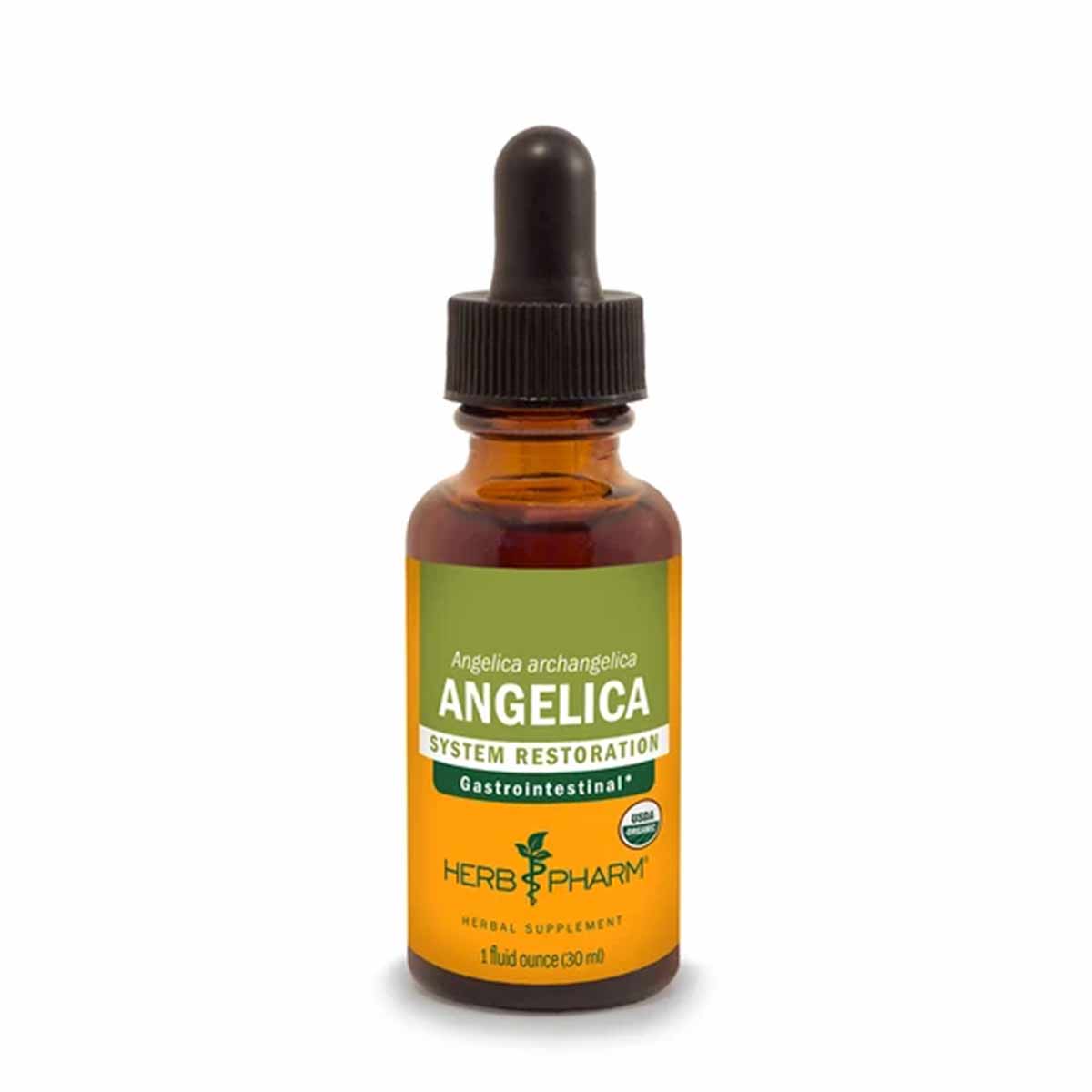Dark amber glass dropper bottle with green and orange label reading "Angelica System Restoration" by Herb Pharm, 1 fluid ounc
