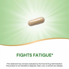 Brown capsule on green gradient background with "Fights Fatigue" text below.