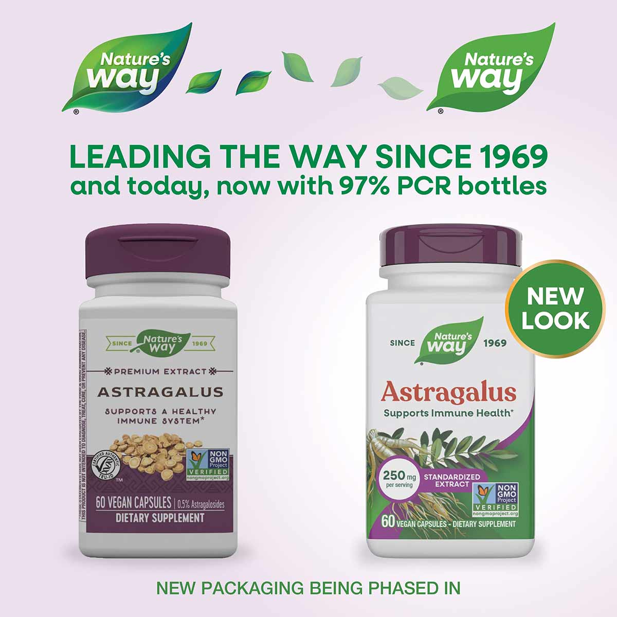 Two bottles of Nature's Way Astragalus Premium Extract dietary supplement with purple caps, showing old and new packaging des