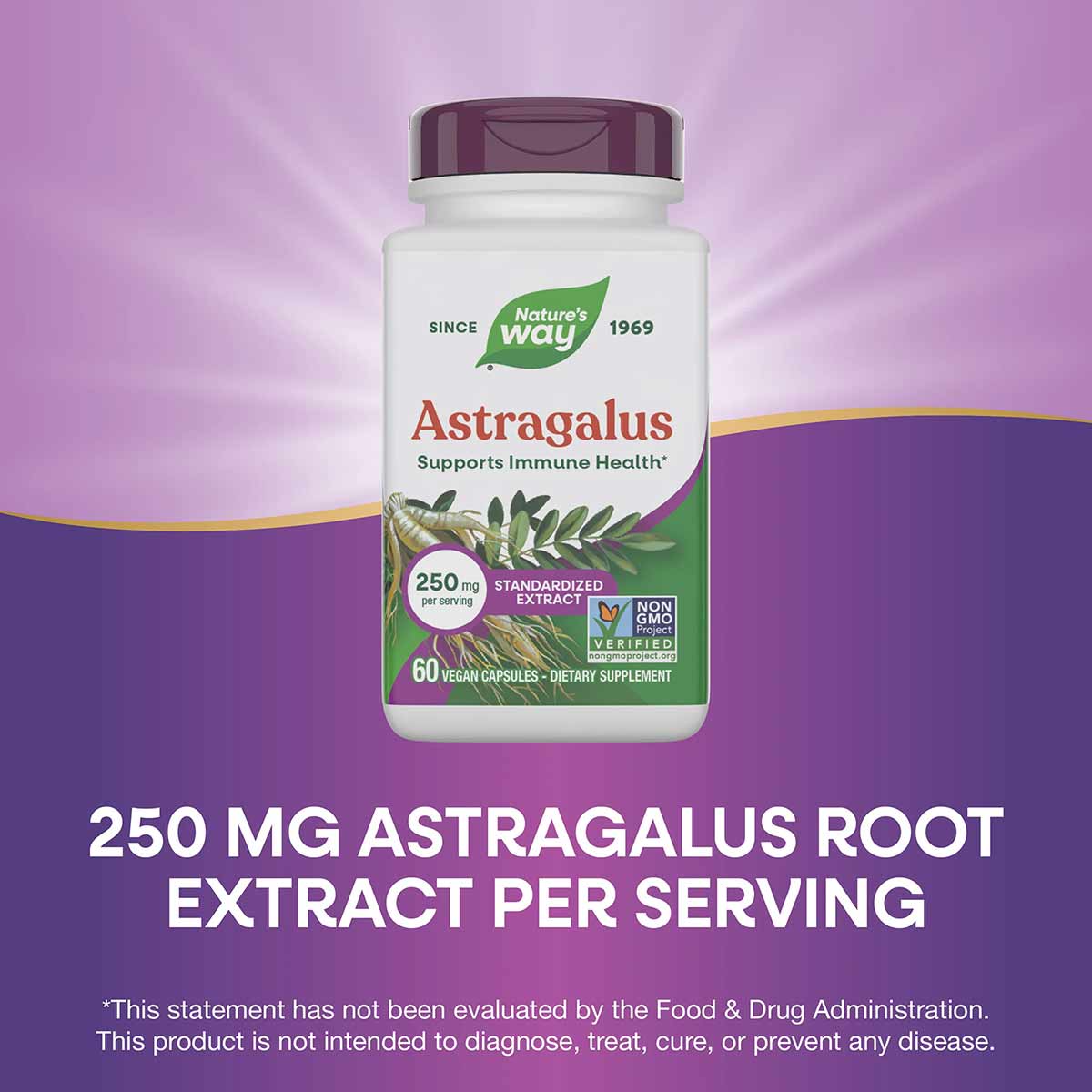 White bottle with purple cap and Nature's Way branding containing Astragalus extract supplement, 60 vegan capsules.