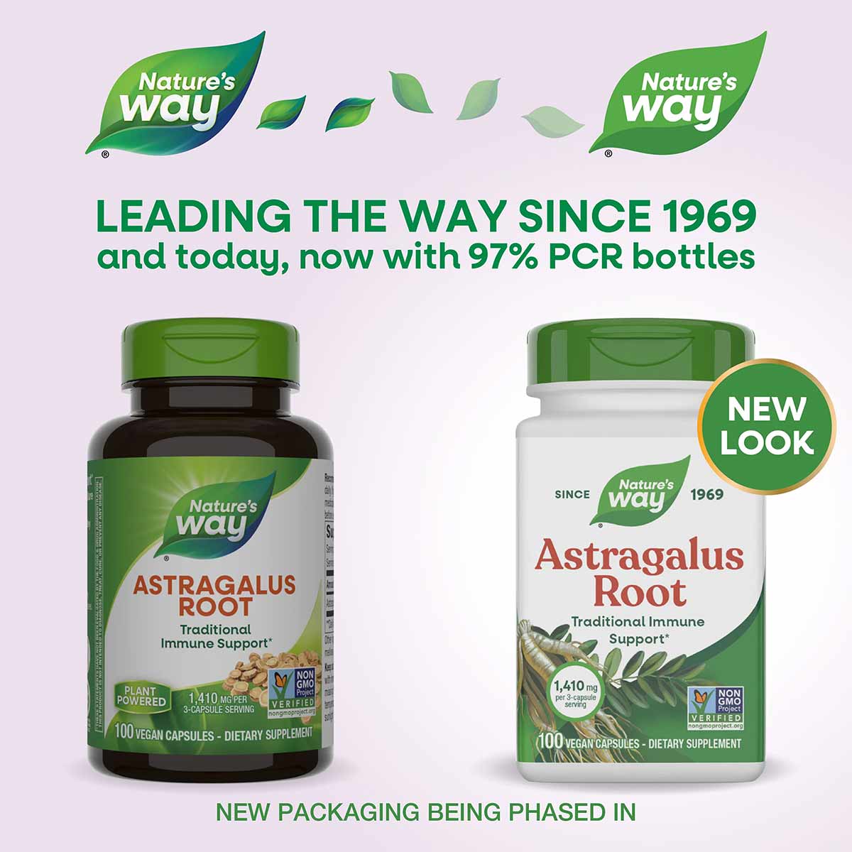 Nature's Way Astragalus Root dietary supplement bottles in dark and light packaging with green leaf logos.