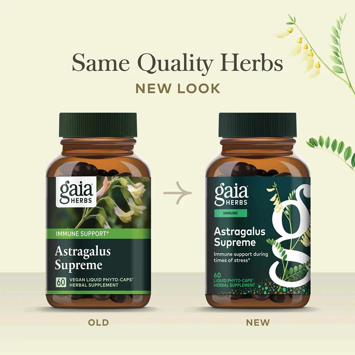 Astragalus Supreme, by Gaia Herbs