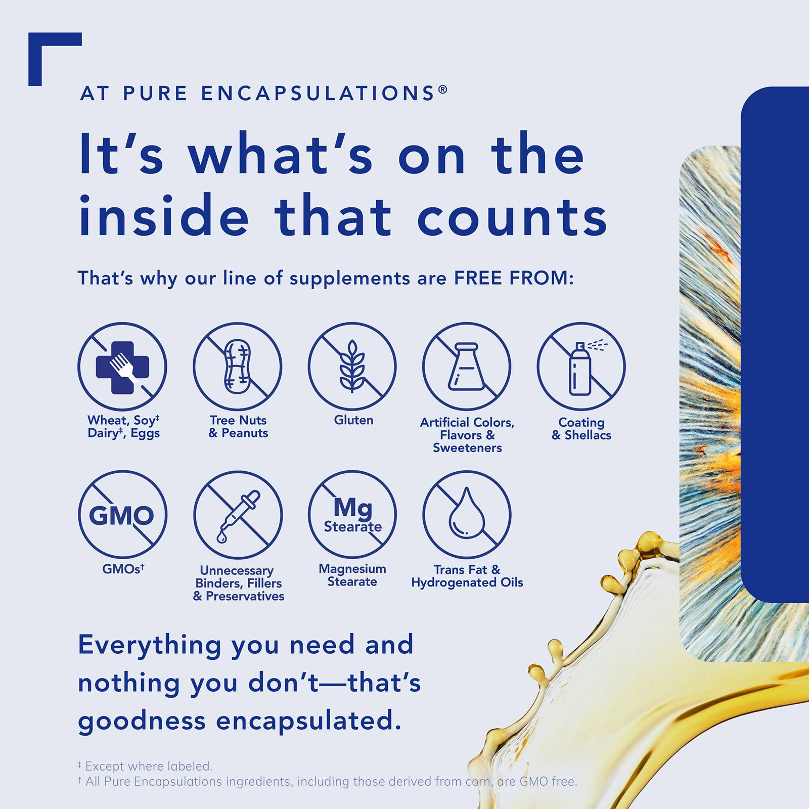 B-Complex Plus, by Pure Encapsulations