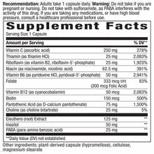 B-Stress Formula, 100 Vegan Capsules, by Natures Way, image #2
