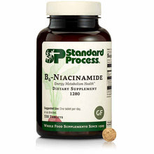 B6 Niacinamide, 330 Tablets, by Standard Process