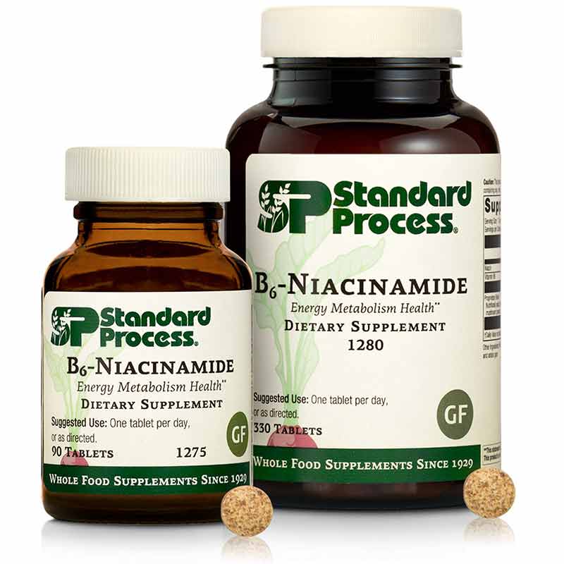 B6 Niacinamide, by Standard Process