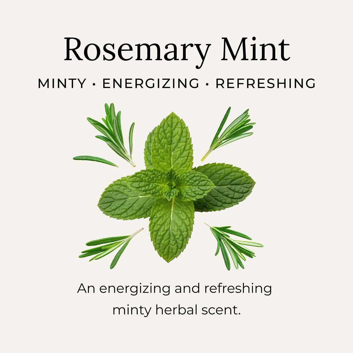 Green mint leaves surrounded by four rosemary sprigs on a cream background, with text reading Rosemary Mint and describing a minty herbal scent.