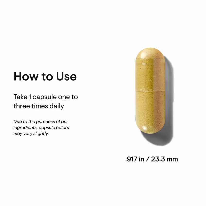 Basic Pro B Basic B Complex, Thorne Research – Professional Supplement Center