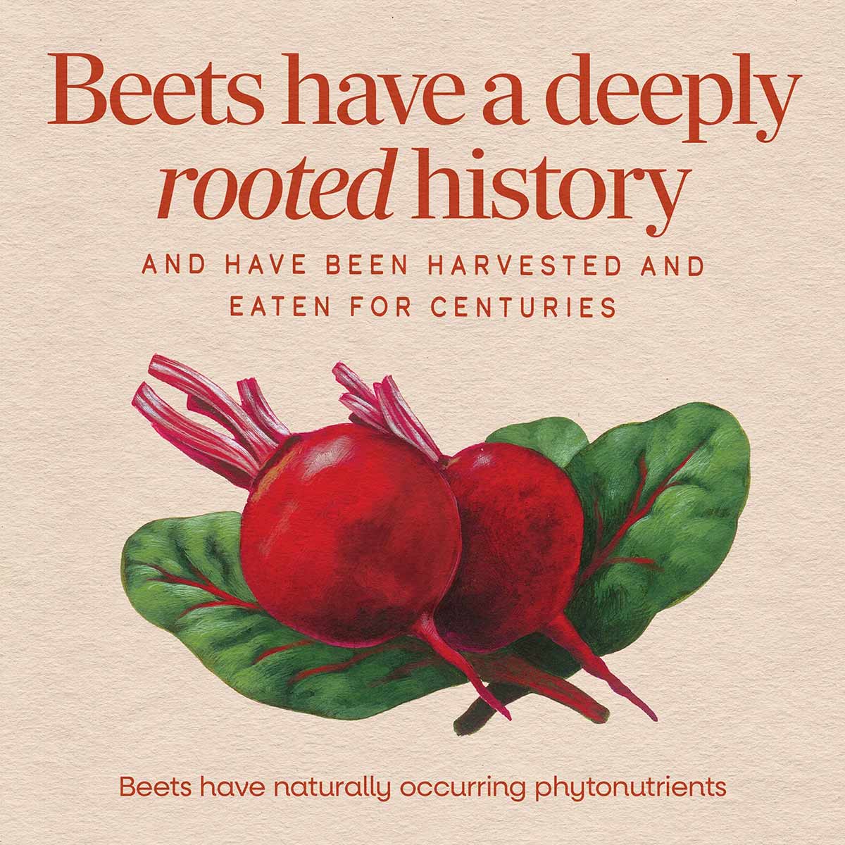 Illustrated red beets with green leaves and stems on beige background with red text.