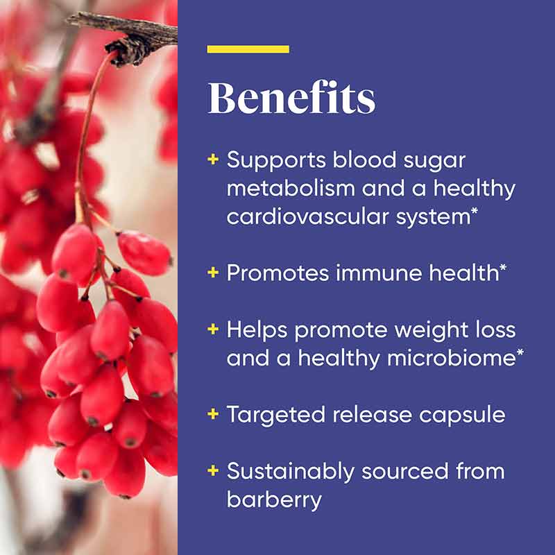 Berberine from Barberry, 60 Capsules, by Enzymedica, image #4