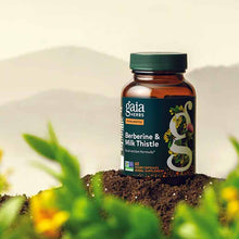 Berberine & Milk Thistle, 60 Vegan Capsules, by Gaia Herbs, image #3