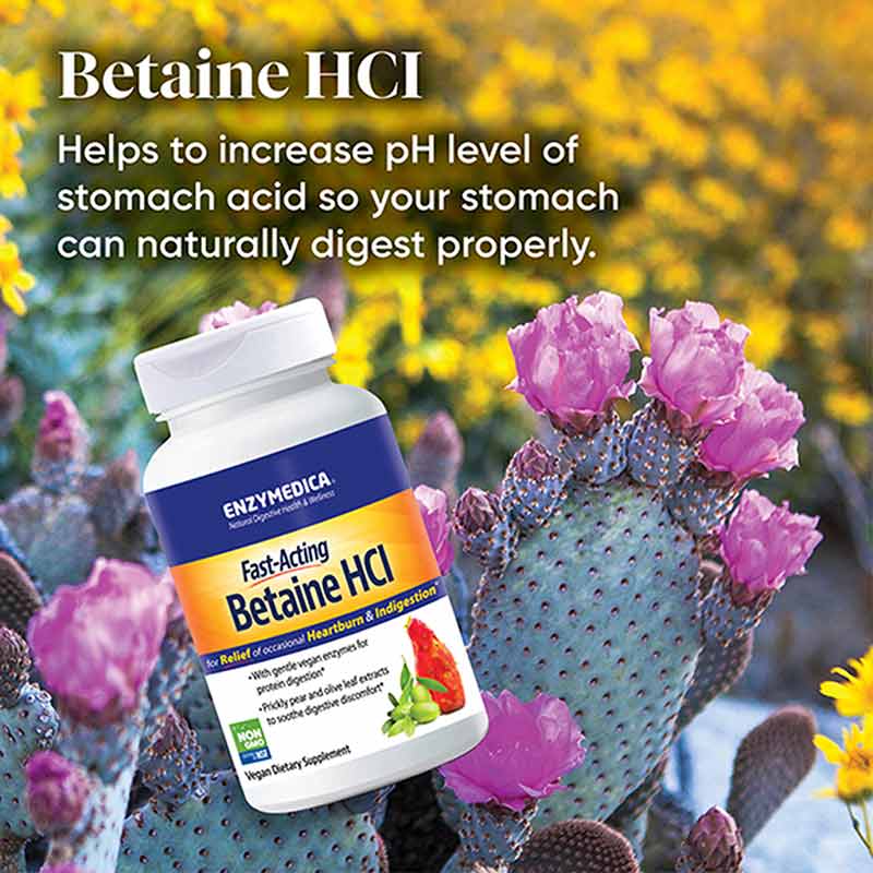 Betaine HCl Fast-Acting, 120 Capsules, by Enzymedica, image #5