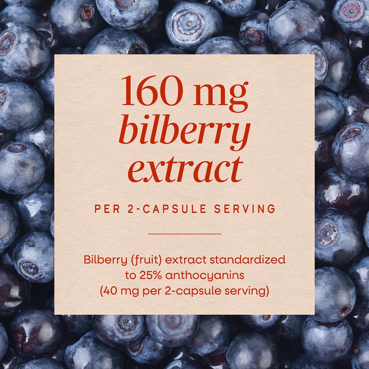 Close-up of fresh bilberries with beige label displaying "160 mg bilberry extract per 2-capsule serving" text.