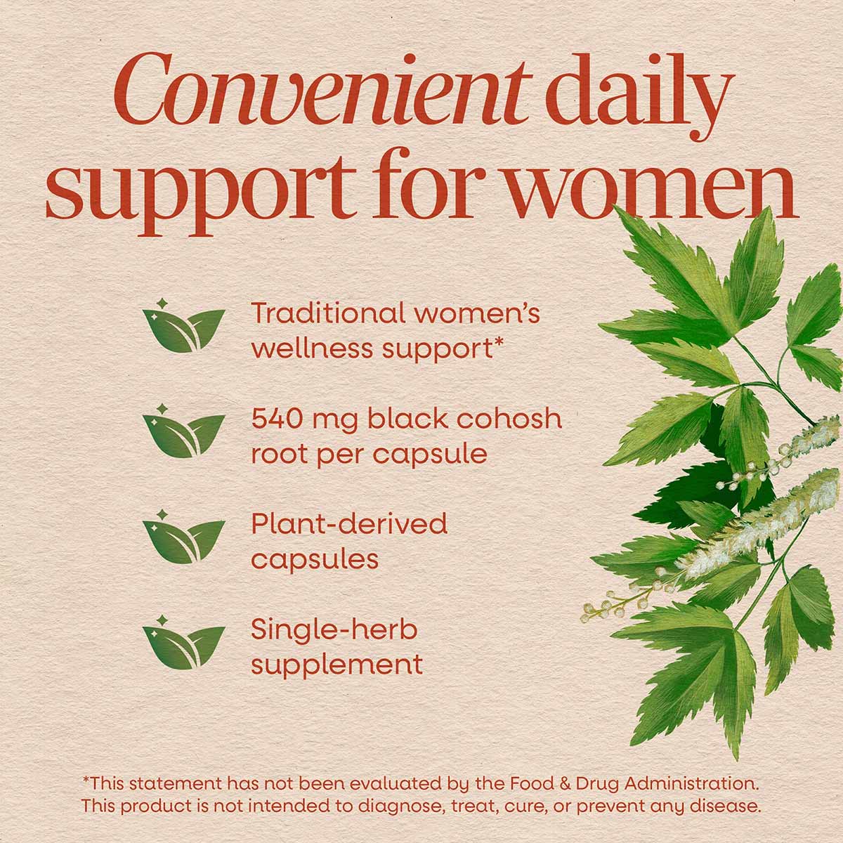 Package of Nature's Way Black Cohosh Root capsules with green leafy plant illustration and product information on beige backg