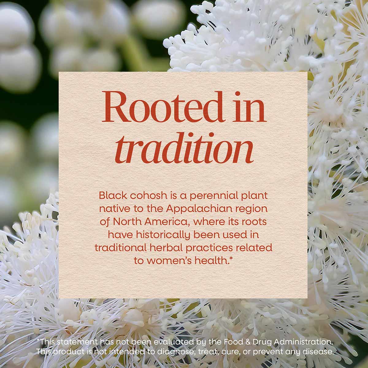 Cream-colored product card with red text overlaid on white flowering plant background.