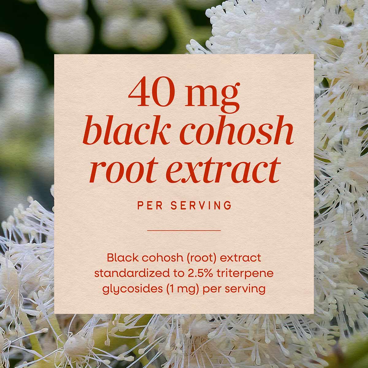 Cream-colored label with red text displaying "40 mg black cohosh root extract per serving" on white flower background.