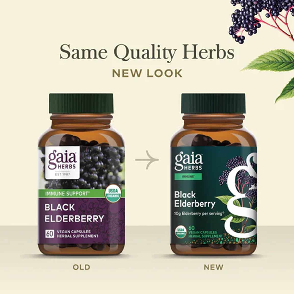 Two brown glass bottles with green caps showing Gaia Herbs Black Elderberry packaging, old and new design side by side.